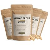 Cupplement 240 Ginkgo Biloba Kapseln 50:1 Extrakt 120 MG pro Kapsel 3+1 Beutel frei - Ginko - Gingko - Kein Pulver Tabletten - Vegan - Supplement - Superfood - Adaptogenic - Nootropic - Hochdosiert