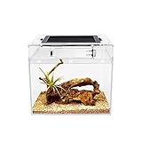 Reptile Growth Terrarium Komplettset, 8' x 8'x 8' Faunarium für,Schnecken,Insekten,Wasserschildkröten，Vogelspinnen,Springspinne,Leopard Gecko,Bärtiger Drache ，Frosch,Aquarium