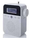 NEWTRO DAB STECKDOSENRADIO MIT BEWEGUNGSMELDER INKL. AKKU, portabler Radio, ideales Badradio mit automatischer Ein- und Abschaltung, Weckfunktion, USB-Ladebuchse, DAB+ Digitalradio