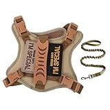 Abaodam Ausbruchsicheres Katzenharness Verstellbare Laufweste mit Leine für Kleine Katzen und Kätzchen Outdoor Spaziergänge Sicher Komfortabel