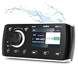 Marine Stereo, Audio Video Player DAB + / FM/AM mit Bluetooth-Streaming, für Yacht, Boot, UTV, ATV, Powersport, Spa
