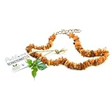 PetLove Bernsteinkette Hund • 100% Baltischer Bernstein...