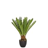 hjh OFFICE Kunstpflanze Cycas Palme Höhe 70 cm Grün 24 Palmwedel Kunstpalme klein Cycaspalme Palmfarn künstlich, 871004