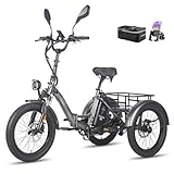 Fafrees E Bike Dreirad F20 Mate, Ebike Klapprad 20 * 3.0 Zoll, Lastenfahrrad für Erwachsene 48V 21Ah Akku, e Bike 3 Rad 65N.m, Dreirad für senioren (Kleiner hinterer Korb, Grau)