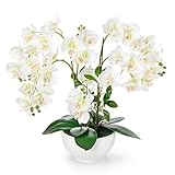 PASCH® XXL Kunstblume Orchidee groß (56cm) in Hochglanz-Keramiktopf | Orchideen künstlich | Kunstblumen wie echt | künstliche Orchideen im Topf | künstliche Blumen im Topf (Weiß)