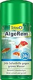 Tetra Pond AlgoRem - 24-Stunden-Soforthilfe gegen grünes Wasser im Gartenteich, bekämpft Schwebealgen, 500 ml Flasche