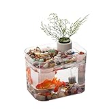 Zstar Aquarium Komplett Set, Aquaristik Kleines Transparentes Aquarium mit USB-Luftpumpe, Desktop-Dekor Fischzuchtbox Fischgläser für Wohnzimmer, Home, Office,A