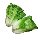Lorigun Künstlicher Salat, Gefälschtes Gemüse, Künstliches Gemüse Für Dekoration, Home Kitchen Decor, PU Gemüse 2 Stücke