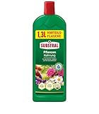 Substral Kübel- & Balkonpflanzen Nahrung, 1,3L, Flüssigdünger mit extra Eisen, für alle Blühpflanzen, u.a. Zitruspflanzen, Geranien, Surfinien, Petunien