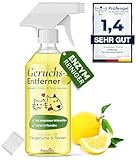 Pawlie's Tier-Geruchsneutralisierer (EXTREM STARK) & Enzymreiniger Katzenurin Geruchsentferner & Hundeurin neutralisieren | Strenge Gerüche & Flecken aus Teppich, Sofa entfernen (500 ml)