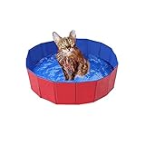 Faltbar Hundepool, Hund Schwimmbad Umweltfreundliche PVC rutschfest Planschbecken mit Ablassventil Sommer Schwimmbad Schwimmbecken Für Hund Katze (50*8cm(19.68*3.15'' ))