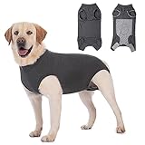 Axcimond Hundebody Nach Op Leckschutz Op Body Hund Kastration Hündin Rüde Medical Pet Shirt Hund Einteiler Wundschutzanzüge für Hunde Mit Klettverschluss Alternativen zu Kegel und Halskrause Hunde