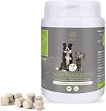 Nutrani Gelenktabletten für Hunde & Katzen | 120 STK. 100% natürlich, Grünlippmuschel, MSM, Bierhefe, Ingwer, Mammaly
