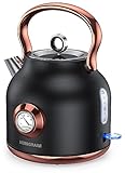 NESSGRAIM Retro Wasserkocher, 1,7 l Edelstahl-Teekessel mit Großer Temperaturanzeige, 2200W Schnell Aufheizender Heißwasserboiler mit LED-Indikator，schwarz