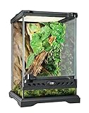 Exo Terra Terrarium aus Glas, mit einzigartiger Front Belüftung, 20 x 20 x 30cm