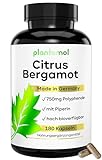 NEU: 180 Citrus Bergamot Kapseln - 1500mg Bergamott Extrakt pro Tagesdosis (2 Kapseln) mit 50% Polyphenole + Piperin aus schwarzem Pfeffer für die verbesserte Bioverfügbarkeit - vegan - plantomol®