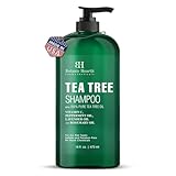 Botanic Hearth Teebaum-Shampoo (Tea Tree Shampoo), Vitamin C, Pfefferminze, Lavendel- und Rosmarinöl, bekämpft Schuppen und trockene Kopfhaut, 16 fl oz