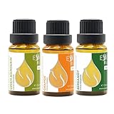 3er Set „Citrus“ Ätherische BIO-Öle Grüne Mandarine + Orange + Bergamotte | 100% Naturrein | Unverdünnt | BIO-zertifiziert | Spitzenqualität aus Familienbetrieb | Ohne Gentechnik | Vegan (3x15ml)