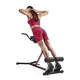 Sunny Health & Fitness Klappbarer Roman Chair Rückentrainer Hyperextensionsstuhl, multifunktionales Trainingsgerät, Heimfitness-Sit-Up-Bank für Gesäß- und Bauchmuskeltraining - SF-BH620062