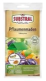 Substral Naturen Pflaumenmaden-Falle zum Abfangen der...