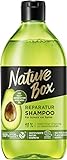 Nature Box Shampoo vegan mit Avocado-Öl gegen Spliss, 1er Pack (1 x 385ml)