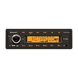 24 Volt Bluetooth PKW LKW Truck Bus Radio RDS & DAB Tuner MP3 WMA USB 24V 2910000431200