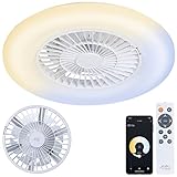 Sichler Haushaltsgeräte Deckenventilator WLAN: 2in1-WLAN-Deckenleuchte & Ventilator, App-Steuerung, CCT-LEDs, Ø 60 cm (Deckenventilator App Steuerung, Deckenventilator WiFi, Tischventilator)