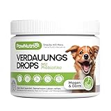 PawNutrio® Verdauungs-Drops für Hunde mit Ulmenrinde I Gegen Gras- & Kotfressen, Durchfall & Sodbrennen I Darmflora I Mit Präbiotika & natürlich I 120 STK. (300g (1 x Dose), Präbiotika)