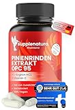 Pinienrindenextrakt - 750mg pro Kapsel - PREMIUM: mit L-Arginin & Vitamin C – Französische Seekiefer mit 36% OPC | Kiefernrindenextrakt ohne Zusätze – SUPPLENATURA®