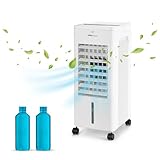 Ufesa Nuuk+ Verdunstungskühler, 65W, Kühlfunktion, Ionisiert und Ventilator, 3 Geschwindigkeiten, 3 Modi, Touch Panel, 6L Tank, Timer 12h, waschbarer Filter, Fernbedienung