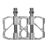 Mountainbike Pedal Aluminiumlegierung Lager Pedal Fahrrad Palin Pedal Kohlefaser Rennrad Pedal Zubehör (Silber für MTB)