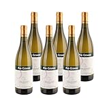 2019 Moscato d´Asti DOCG - Pio Cesare - italienischer lieblicher Weißwein aus dem Piemont (6x0,75l)