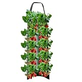 Générique Pflanzbeutel für Erdbeeren | Belüftungsöffnungen aus schwimmendem Stoff mit 8 Löchern für die Pflanzung | Gartensäcke für Tomaten, Rosen, Karotten, Kartoffeln, Erdbeeren