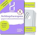 Heimgeist Schlupfwespen gegen Lebensmittelmotten - 20 Karten als EINZELLIEFERUNG - Effektiv Lebensmittelmotten bekämpfen