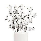 jiuzcare Baumwolle Zweig Natürlich Stängel Bauernhaus Getrocknete Blumen Baumwollblüten Baumwollpflanze Baumwollstiel Weiss Künstliche Trockenblume für Vase Hochzeit Party Deko, 4 Pack10 Balls [40PCS]