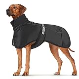 DoggieKit Hundemäntel Wasserdicht Winddicht Warm Winter...