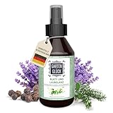 Garten Glück® Blattglanzspray für Zimmerpflanzen - 250 ml - Natürlicher Blattglanz & Blattpflege, Grünpflanzendünger - Blattglanzspray für Grünpflanzen im Innen- und Außenbereich