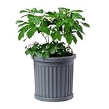 Pflanzkübel Halbrund direkt an der Wand Pflanzkübel Groß Außen Blumenkübel Outdoor Pflanztopf Pflanzkasten Blumentopf Grau