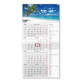 Timr 4-Monatskalender Streifenkalender 2026 - Wandkalender 4 Monate mit Schieber - 60 cm Viermonatskalender zum eintragen I Motiv Karibik Strand I tr322