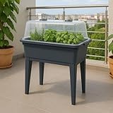 Balkon Hochbeet mit Deckel Gewächshaus Frühbeet Kräuterbeet Treibhaus Aufzuchtbeet Pflanzkasten Pflanzenkübel Gemüse Blumenkasten Garten Gemüsebeet Blumentopf Tomatenhaus (60cm)