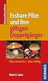 Essbare Pilze und ihre gifitigen Doppelgänger: Pilze sammlen - aber richtig