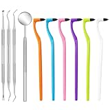 Zahnsteinentferner 10-teilig, Professionelles Zahnreinigungsset mit Zahnpolierer und Zahnstein Set, Effektive Zahnstein Entfernung für Zahnpflege und Zahnreinigung Zwischenräume, Inklusive 6 Zahnwerkz