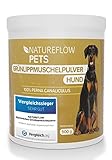 Grünlippmuschel Hund TESTSIEGER - 500g natürliches Grünlippmuschelpulver für Hunde - Unterstützung der Gelenkfunktion - Grünlippmuschel für Hunde mit Hoher Akzeptanz - Grünlippmuschelpulver Hund