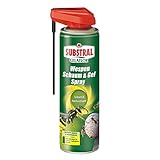 Substral Celaflor Wespen Schaum und Gel Spray, gegen Wespe und Wespennest, schnelle Wirkung, 400 ml