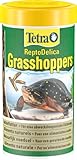 Tetra ReptoDelica Grasshoppers Schildkröten-Futter - Naturfutter aus getrockneten Heuschrecken, 250 ml Dose