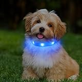 PcEoTllar Hundehalsband Leuchtend für Kleine Hund LED Halsband Hunde USB Aufladbar Leuchthalsband Leuchtie Halsband Welpen Sicherheit für Nacht mit 3 Lichtmodi, Blau