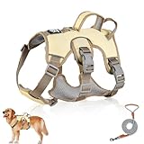 Mehrzweck-Hundegeschirr mit Leine Set, Ausbruchsicheres Anti...