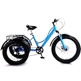 SXYKXYDL 24' Elektro-Dreirad für Erwachsene, fette Reifen, 200 kg Tragkraft, für ältere Menschen, Trainings- und Einkaufsroller, weicher PP-Sitz, Bequeme Fahrten für Männer und Frauen, Blau