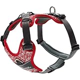 HUNTER Geschirr Divo Reflect 52-68/S-M