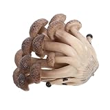 GLEAVI Dekofigur Lebendige PVC Pilzskulptur für Garten und Innendekoration Pilzornament für Kreative Arrangements und Besondere Anlässe
